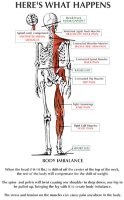 Steroids side effects on the body